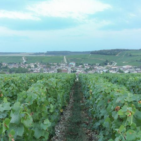 Une Parenthèse en Champagne Jaucourt Esterno foto