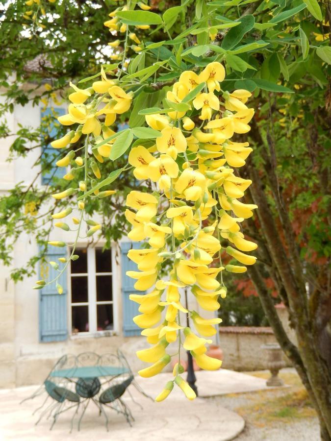 Une Parenthèse en Champagne Jaucourt Esterno foto
