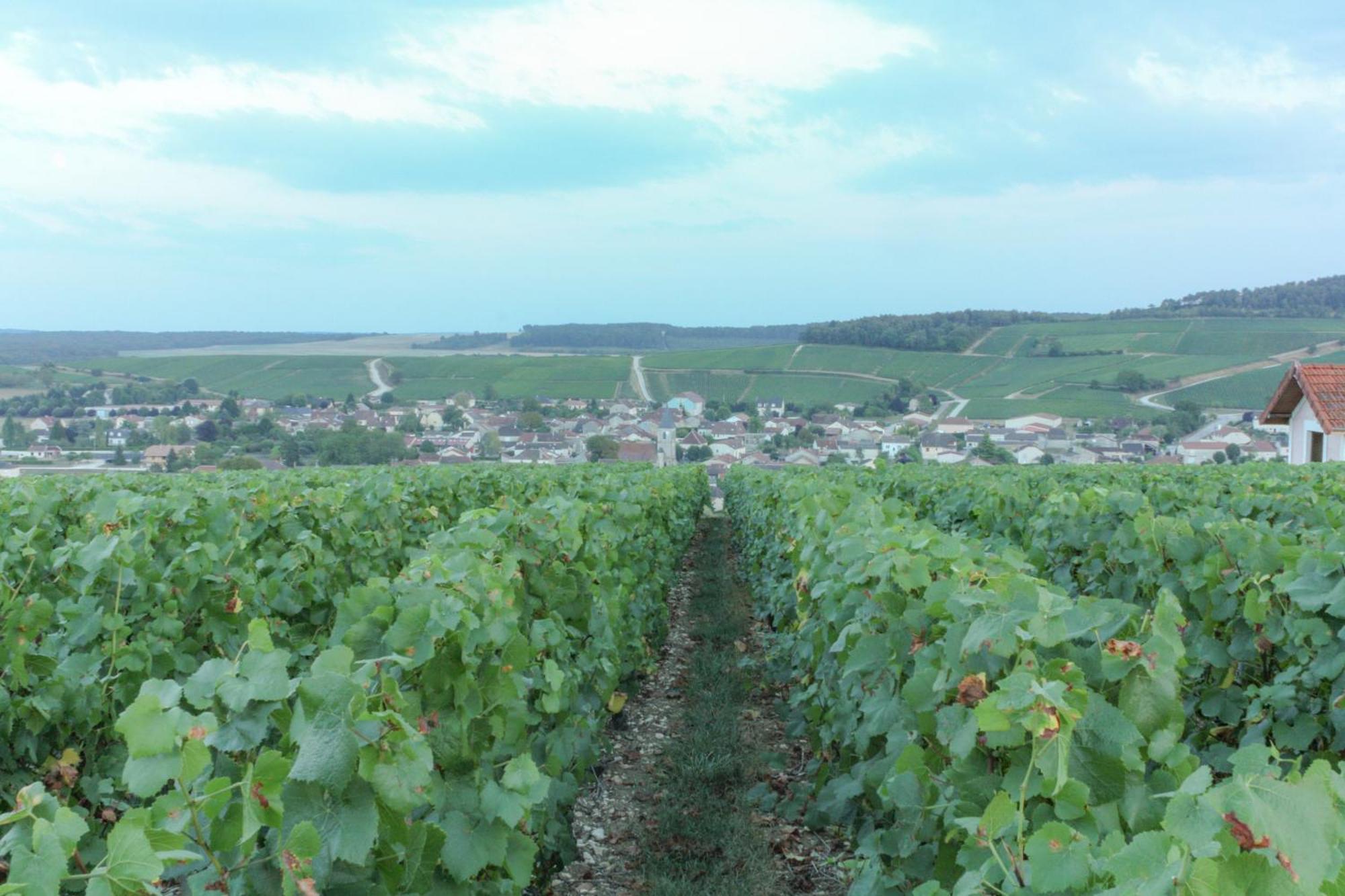 Une Parenthèse en Champagne Jaucourt Esterno foto